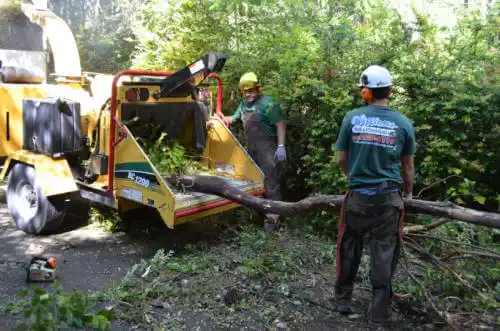 tree services Oakbrook Terrace